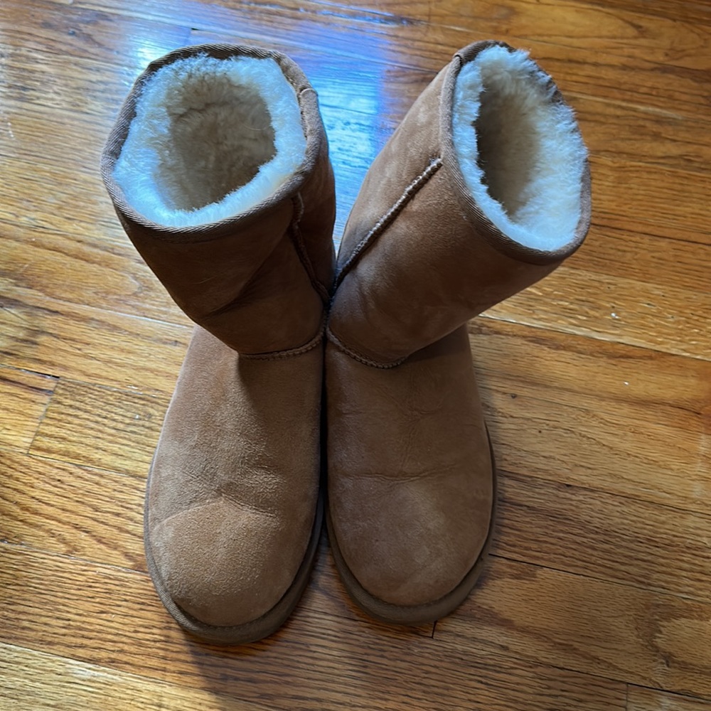 Ugg short chestnut boots